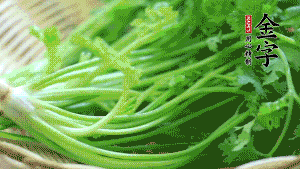 挑選鮮嫩的香菜，洗干凈后，處理成小段。