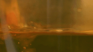 雞肉、鹽、料酒入冷水鍋水開后撇去浮沫，溫水洗凈。